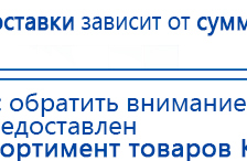 СКЭНАР-1-НТ (исполнение 01 VO) Скэнар Мастер купить в Можайске, Аппараты Скэнар купить в Можайске, Медицинская техника - denasosteo.ru
